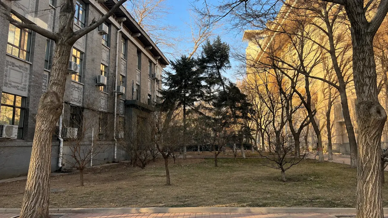 Пекинский педагогический университет — корпуса и аллеи кампуса